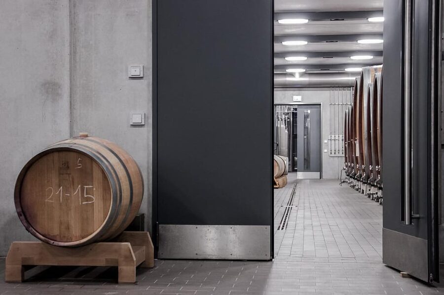 Exclusive Wine Tour: Sardinian Winery + Round-Trip Transfer - The winery experience: tour, tasting room views, and local bites