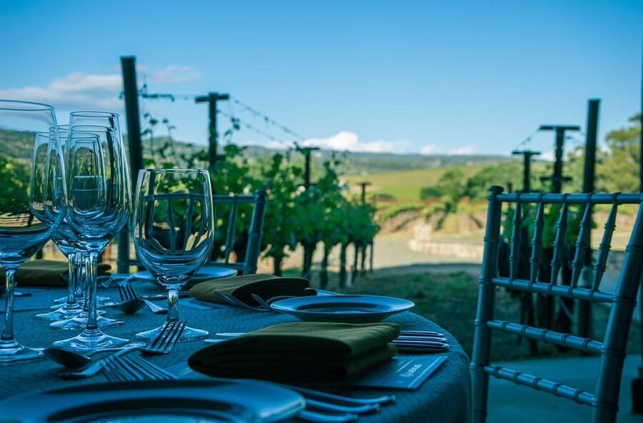 Exclusive Wine Tour: Sardinian Winery + Round-Trip Transfer - Should you book this exclusive Sardinian winery tour from Olbia?