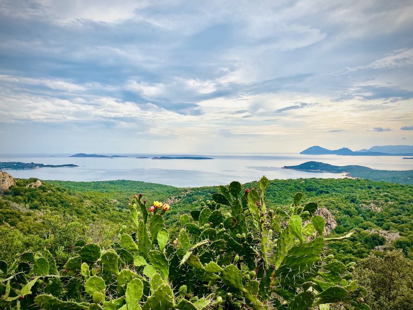 Experience Sardinia:North Coast Tour Between Sea and History - Baja Sardinia beach break: what that free time actually buys you