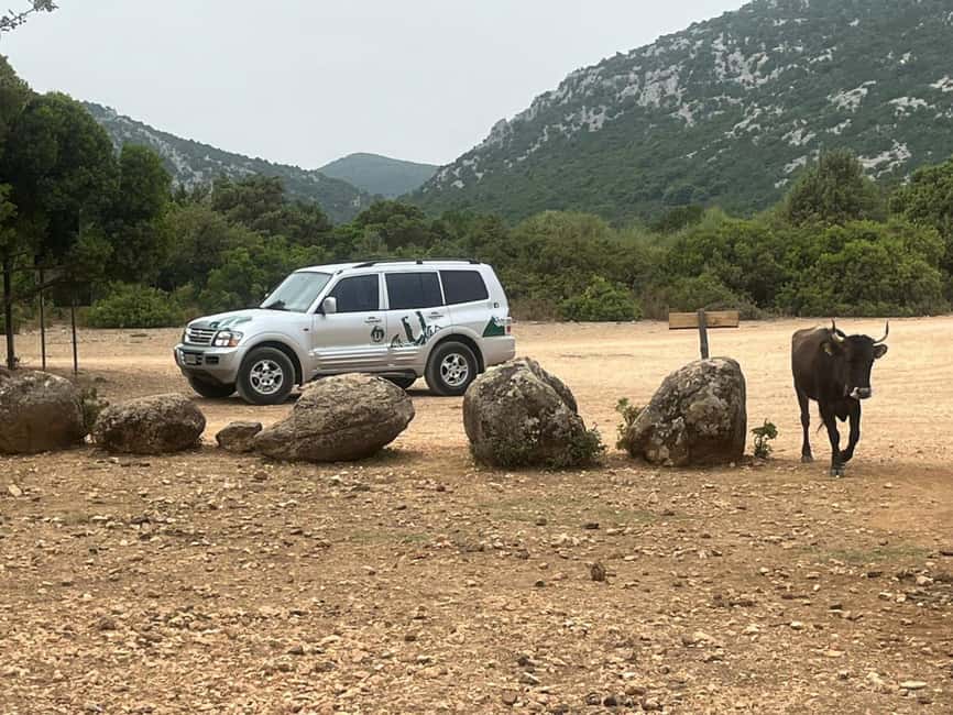 From Arbatax: 4hour jeep tour of the Golgo Plateau in Baunei - Stone Mask (Maschera di Pietra): wind-carved rock you can read visually