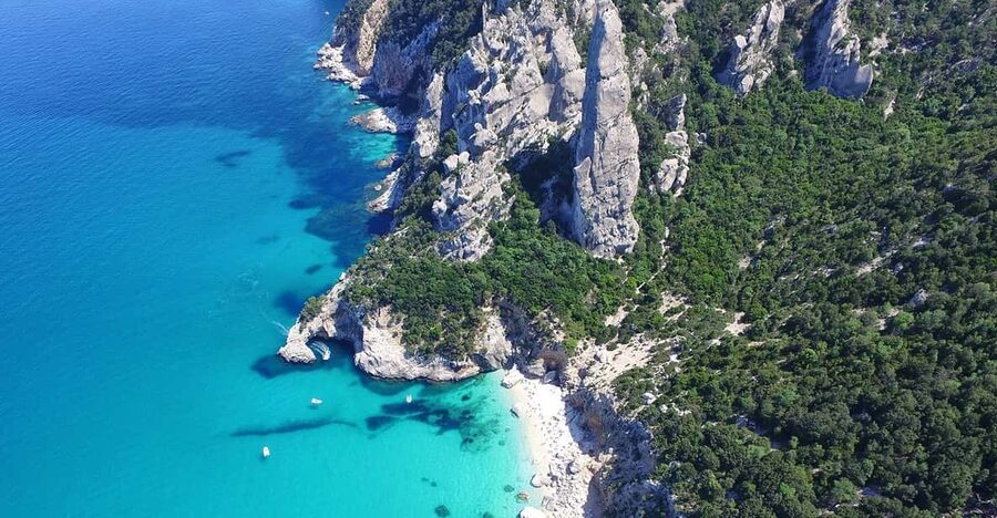 From Arbatax: Full-Day Guided Boat Tour of the Baunei Coast - Grotta del Fico: A Guided Sea Cave Stop (With Monk Seal Context)