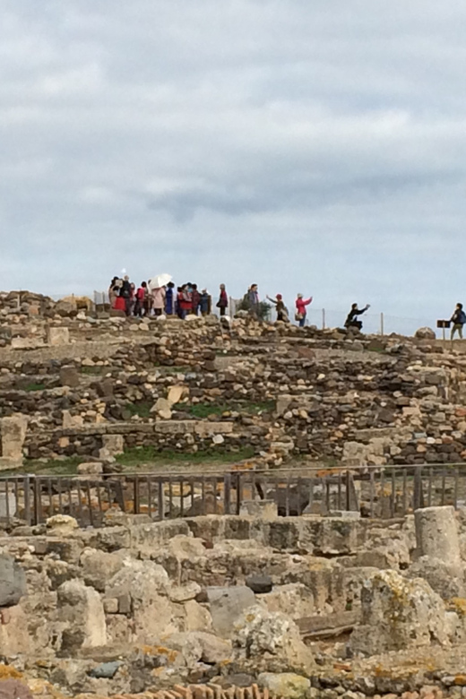 From Cagliari: Nora Ruins and Pula Guided Tour - The drive back to Cagliari: comfortable transport and a guide who can steer you