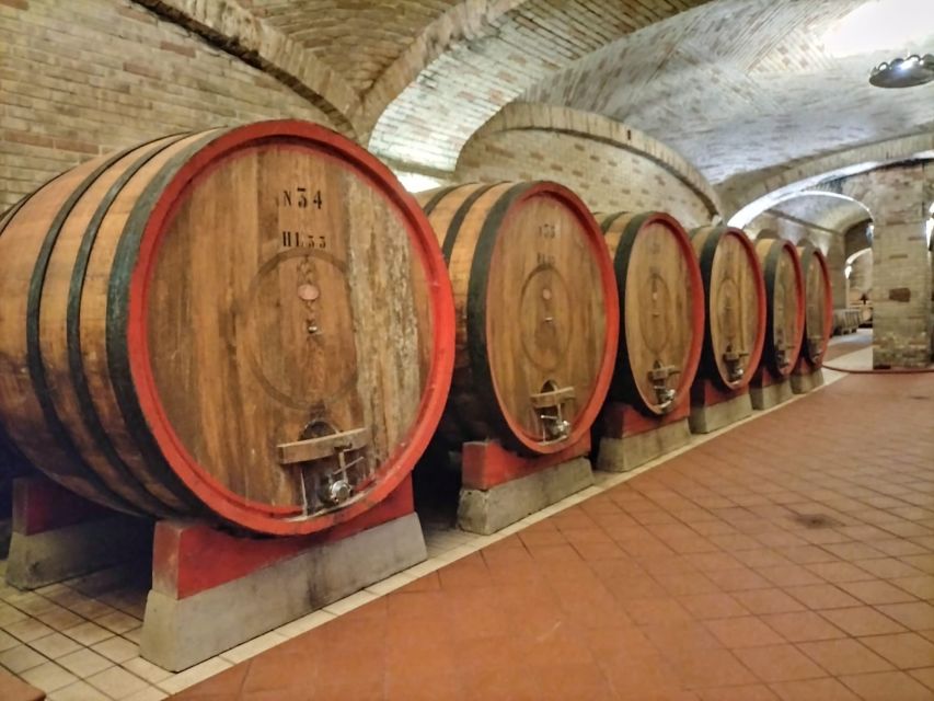 From Cagliari: Wine Cellar Tour with Tastings - Key highlights to look for