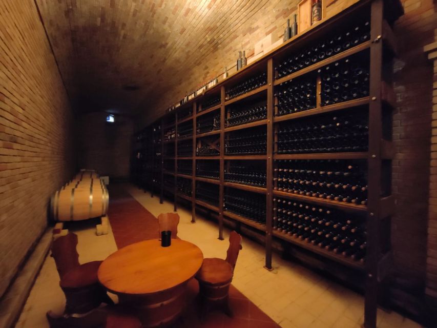 From Cagliari: Wine Cellar Tour with Tastings - Vineyard-to-cellar tour near Cagliari (and why it feels practical)