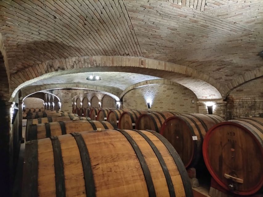 From Cagliari: Wine Cellar Tour with Tastings - The wines and local tastings: how the explanations help you learn
