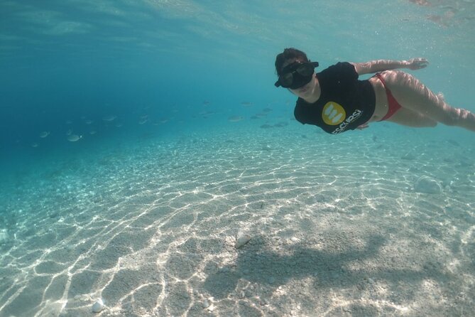From Cala Gonone: Dinghy trip in the Gulf of Orosei - Sailing time plus Cove Ziu Santoru snorkeling from the boat