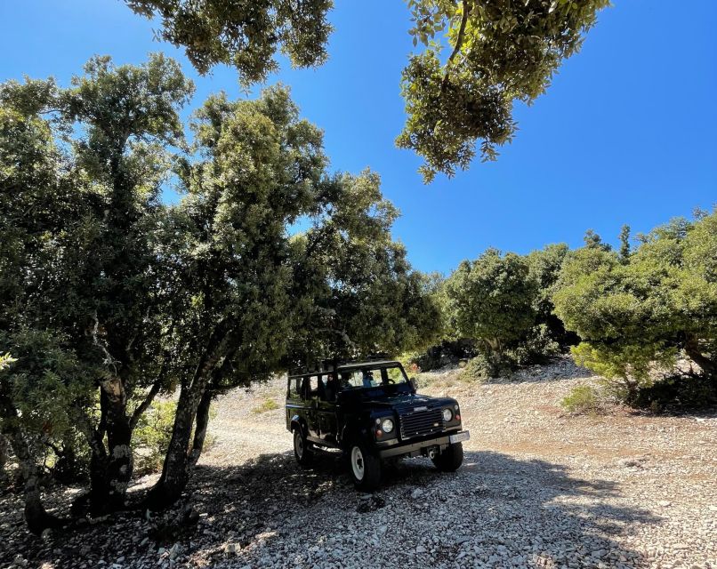 From Cala Gonone: Food, wine and craft tours in Dorgali - Price and Value: Is $121.21 Worth It?