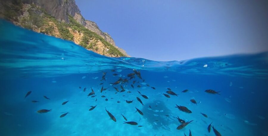 From Cala Gonone: Gulf of Orosei Speedboat Trip and Aperitif - Caletta Ziu Santoru: A Quick Starter Cove to Get Your Sea Legs
