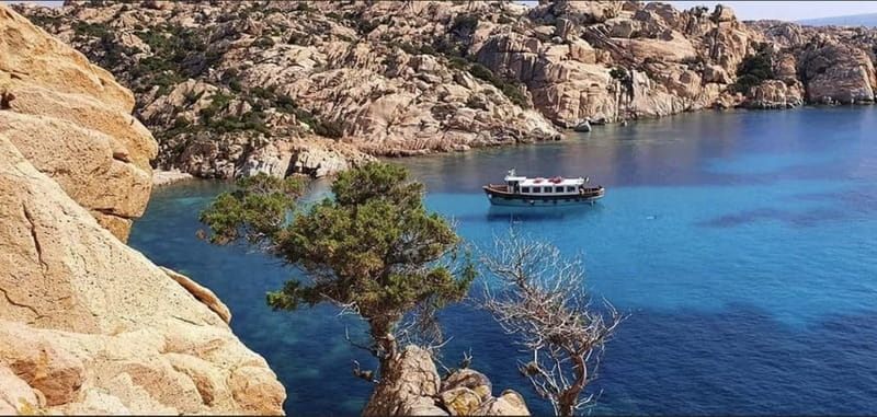 From La Maddalena or Palau: Archipelago Boat Tour - Candeo Fortress Free Time: Walk the Rock Path, Then Swim Again