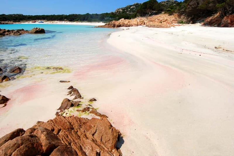 From La Maddalena or Palau: Archipelago Boat Tour - Spargi and Cala Corsara: Why the Late Landing Feels Like the Best Part