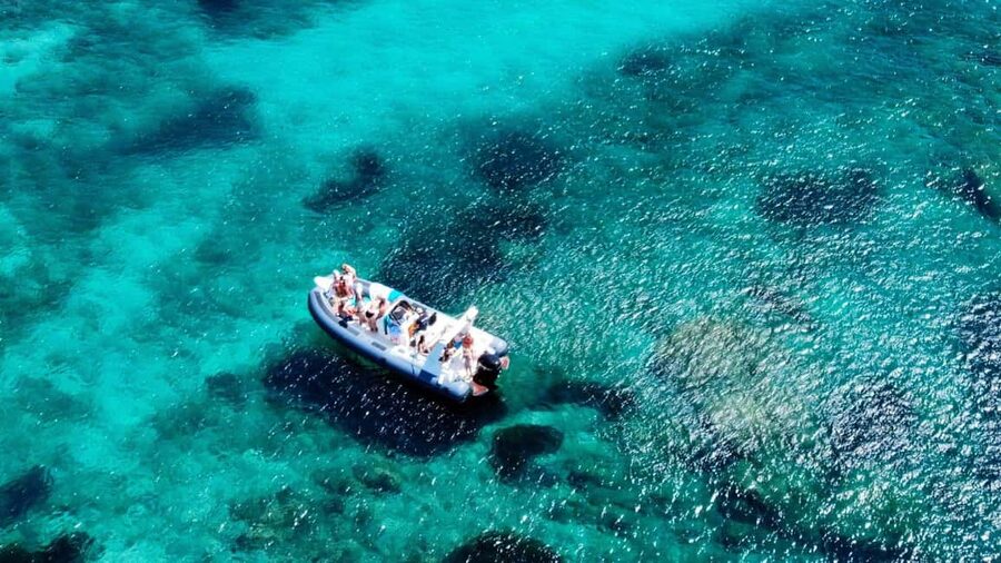From Olbia: Dinghy Tour with Snorkeling to Tavolara Island - Tavolara Marine Reserve in a 3.5-Hour Dinghy Loop