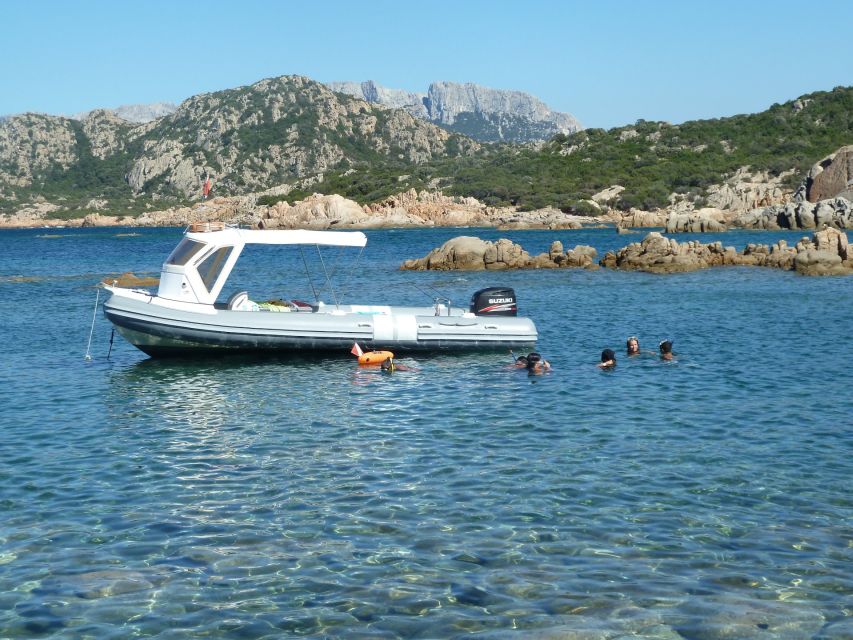 From Olbia: Dinghy Tour with Snorkeling to Tavolara Island - Snorkeling Here Actually Works: What You’ll See