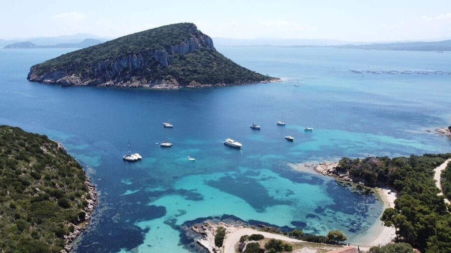 From Olbia: Tavolara or Cala Moresca Catamaran Tour - Price and value: $134.81 feels fair for what’s included