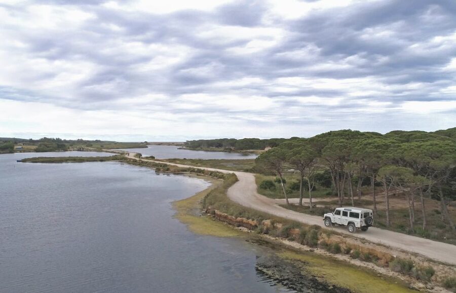 From Orosei: Archaeology, Wine Tasting & Landscapes Tour - Tasting in Orosei: Cannonau, olive oil, honey, and local snacks