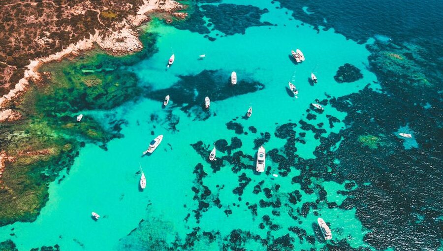 From Palau: La Maddalena Archipelago Boat Tour with Pasta - Key things I’d bet on