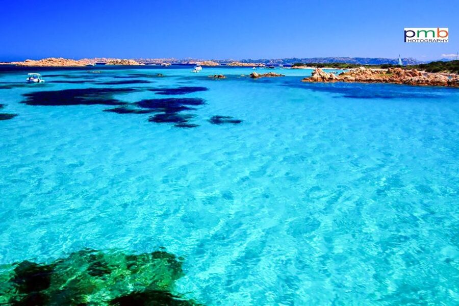 From Palau: La Maddalena Archipelago Day Tour by Boat - Price and value: is $59 a good deal?