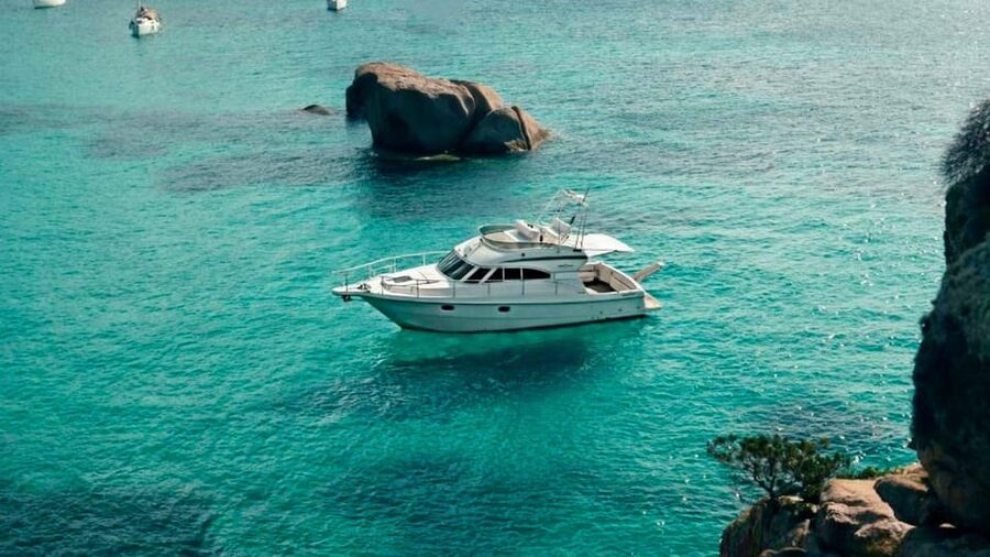 From Palau: La Maddalena Archipelago Yacht Tour with Lunch - Swimming and seabed life: what you can actually do