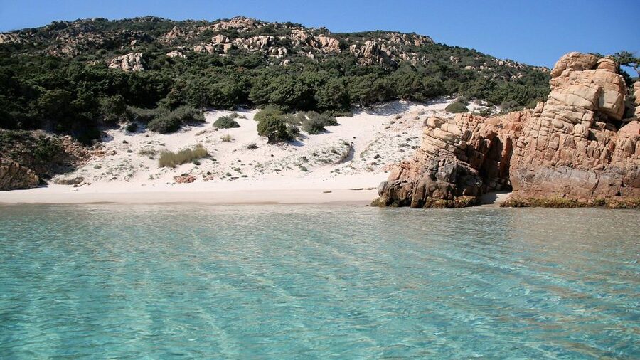 From Palau: Sailboat tour in La Maddalena Archipelago - Lunch on board in Sardinian style: more than a sandwich