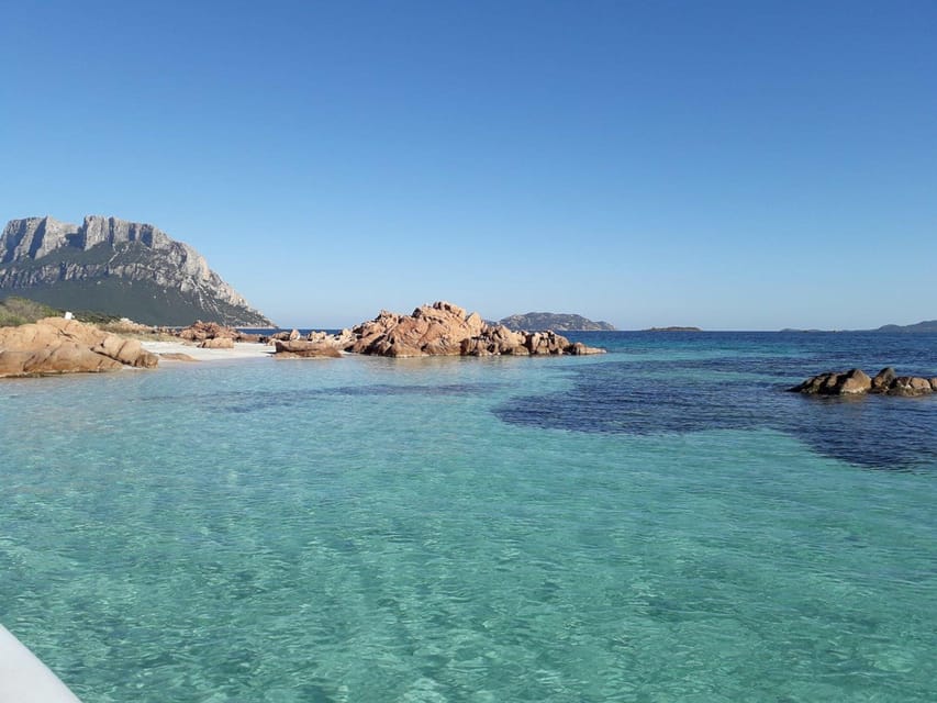 From Porto San Paolo: 4-hour boat tour to Tavolara - Who this boat trip suits best (and who should skip)