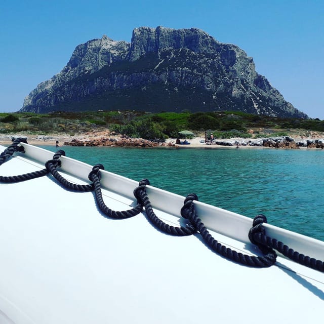 From Porto San Paolo: 4-hour boat tour to Tavolara - Stop by stop: Molara, Tavolara coves, and the Coda Cavallo coast