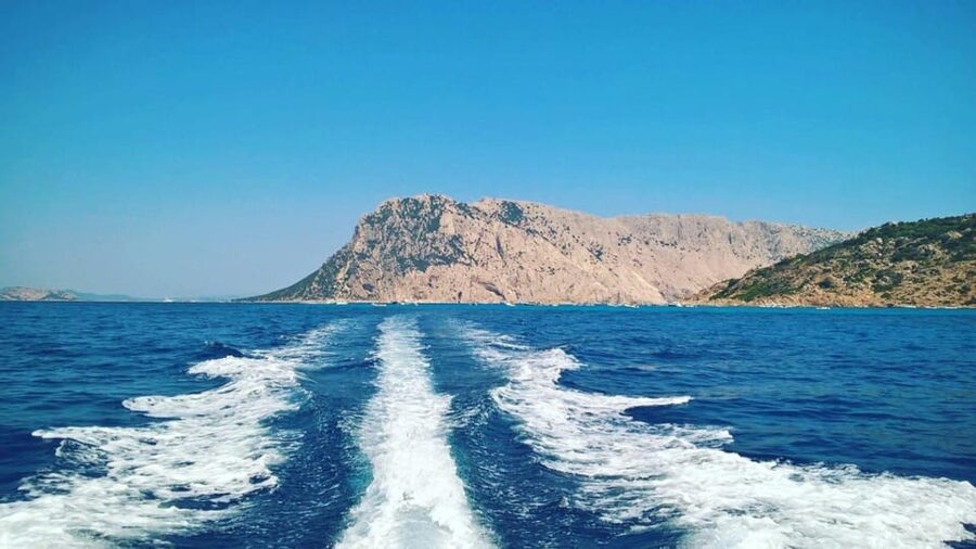 From Porto San Paolo: 4-hour boat tour to Tavolara - Comfort and safety details that matter on a small boat