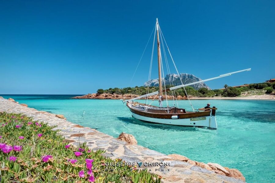 From San Paolo: Tavolara and Molara Island Cruise with Lunch - Who this cruise is best for
