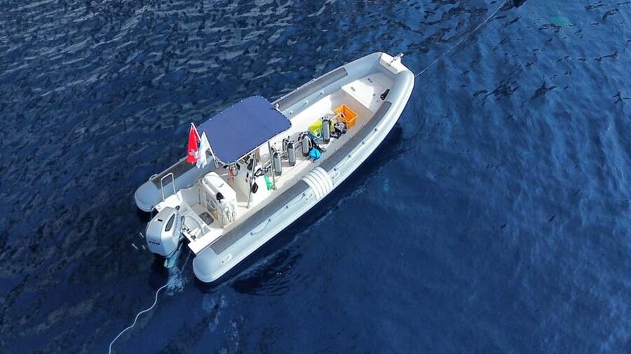 From San Teodoro: snorkeling in Tavolara and Molara - Molara Island shallows: the second session where you slow down