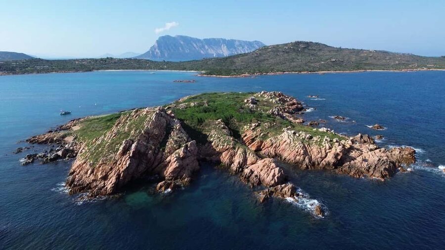 From San Teodoro: snorkeling in Tavolara and Molara - Price and value: what $105 buys you in real terms