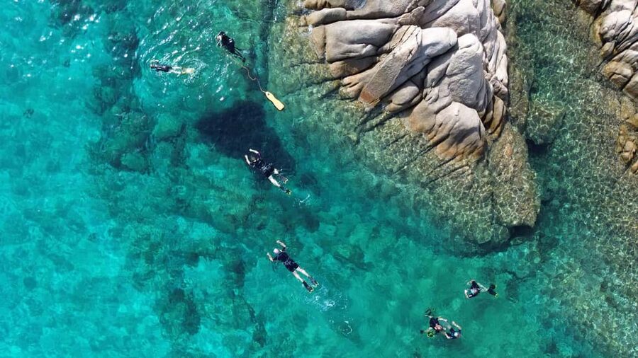 From San Teodoro: snorkeling in Tavolara and Molara - Should you book this San Teodoro snorkeling trip?