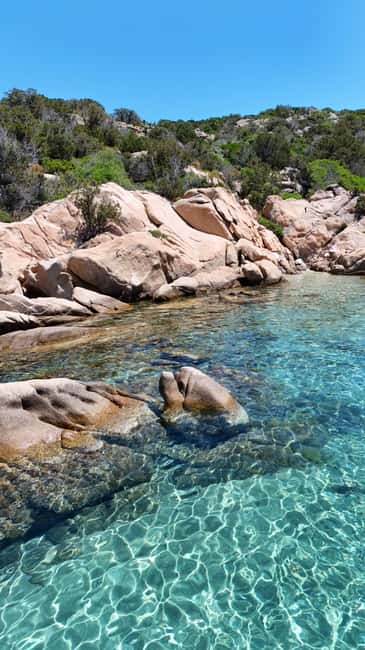 From San Teodoro: Tavolara Archipelago Grand Tour - Snorkeling expectations: clear water beats a fish guarantee