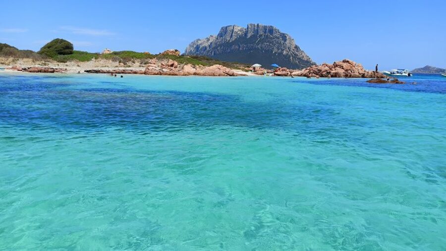 From San Teodoro: Tavolara Archipelago Grand Tour - Price and value: what $84.96 really buys you