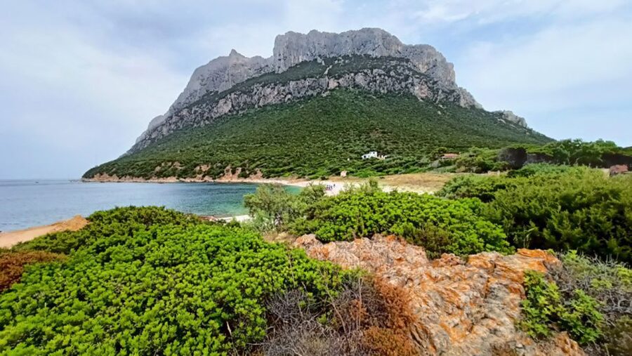 From San Teodoro: Tavolara Archipelago Mini Tour - Quick hits before you go