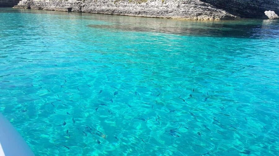 From Santa Teresa: Sailboat Tour to Corsica with Lunch - Possible Island Stop #1: Isola Piana (what you can expect from a cove-style visit)