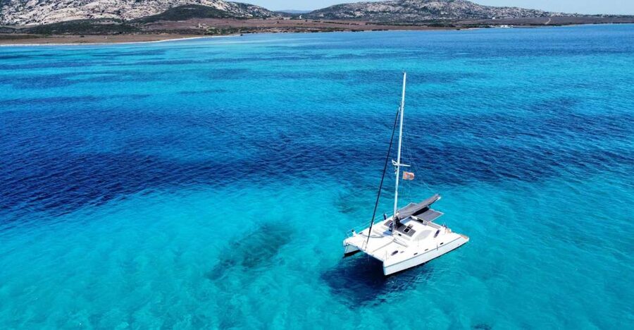 From Stintino: Catamaran tour to Asinara Island - Lunch on Board: Sardinian Fish, Local Products, and No-Fuss Eating