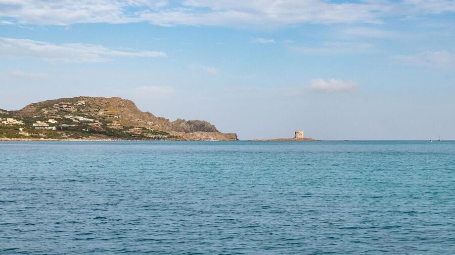 From Stintino: Catamaran tour to Asinara Island - Weather and Wind: The Part of the Day You Should Actually Plan For