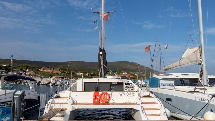 From Stintino: Catamaran tour to Asinara Island - Who This Tour Is For (And Who Might Want to Skip)