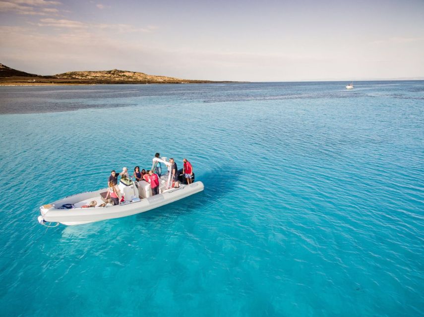 From Stintino: Half-day dinghy tour in Asinara Gulf - Key things I’d bet on