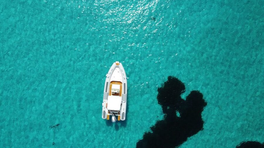 From Stintino: Half-day dinghy tour in Asinara Gulf - Asinara National Park by dinghy: why this works