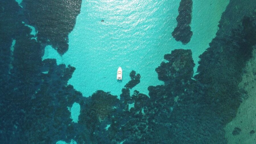 From Stintino: Half-day dinghy tour in Asinara Gulf - The other coves near Capo Falcone: where the real memories form