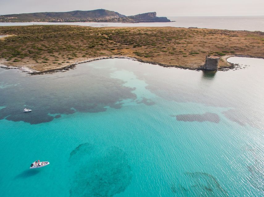 From Stintino: Half-day dinghy tour in Asinara Gulf - How the skipper’s wind-based route keeps it fun