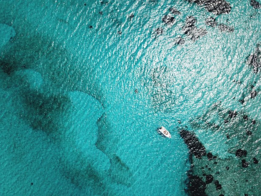 From Stintino: Half-day dinghy tour in Asinara Gulf - Your boat setup: Wild Asinara and the comfort basics