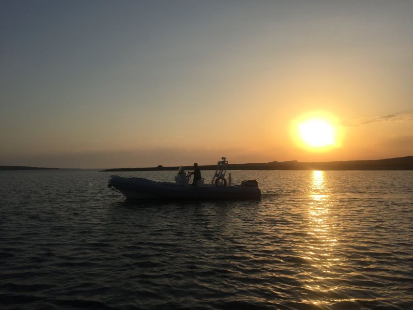 From Stintino: Half-day dinghy tour in Asinara Gulf - Price and value: what $56 gets you (and what it doesn’t)