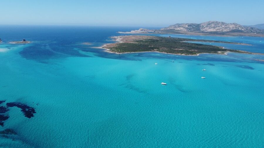 From Stintino: Half-day dinghy tour in Asinara Gulf - Timing in Stintino: morning or afternoon and when to show up