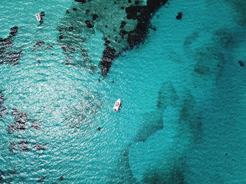 From Stintino: Half-day dinghy tour in Asinara Gulf - What to bring for a 3-hour swim-stop outing