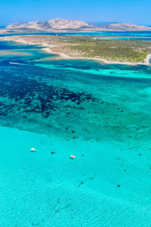 From Stintino: Half-Day Speedboat Tour to Asinara - Key highlights at a glance