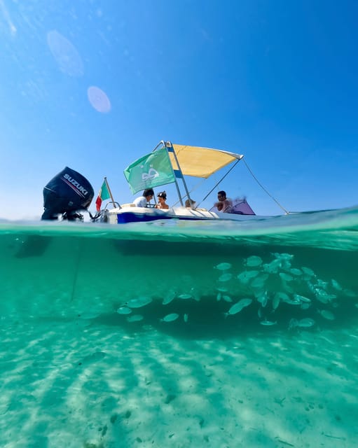From Stintino: Half-Day Speedboat Tour to Asinara - Getting to Porto Mannu: where you actually need to be