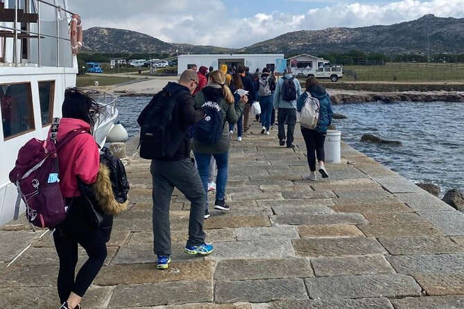 From Stintino: minivan tour of Asinara - Cala d’Oliva museum stop: environmental education in an old prison space