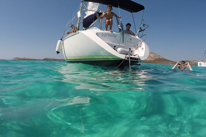 From Stintino: sailboat tour to Asinara with lunch - Price and Value: Is $135.18 Worth It?