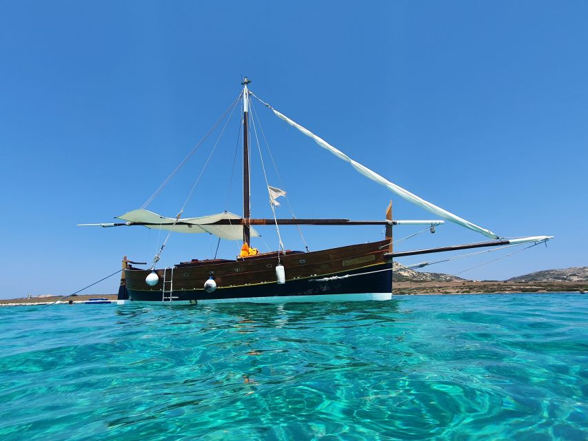 From Stintino: sailing trip to Asinara with Lunch - Practical tips that make the day smoother (and happier)