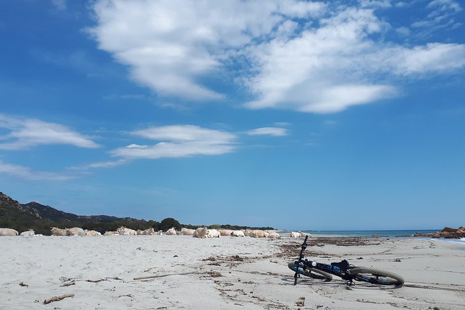 From the hills to Oasi Biderosa & Capo Comino with Electric Mountain Bikes - Electric Mountain Bikes: The Real Reason This Feels Easy